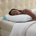 biosense foam pillow brookstone