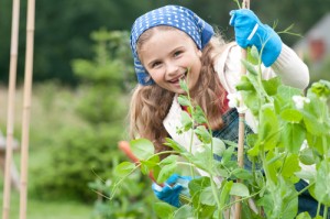 childrengarden