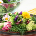 Simple Spring Salad