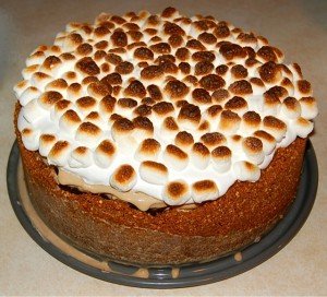 Smores-Fudge-Ice-Cream-Cake