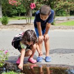 kids, puddle, water, playing