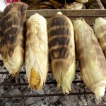 grilled corn on the cob