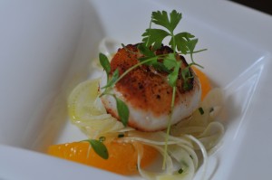 Scallop