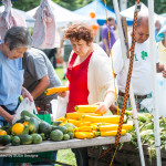 Summer’s Bounty Has Arrived