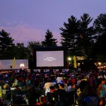 Screen On The Green