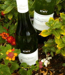 KWV Whites 2