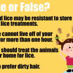 So how much do you know about lice?