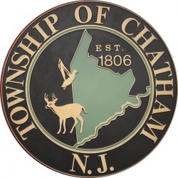 Chatham Township