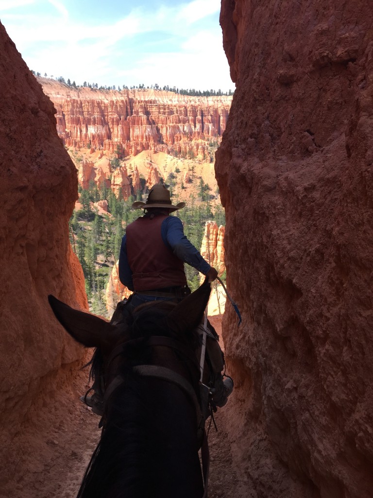 Bryce Canyon