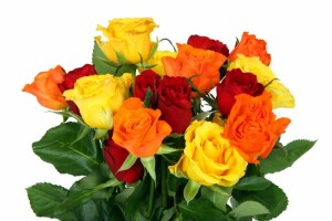 colorful_rose_bouquet_187931