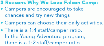 Falcon-Pullquote