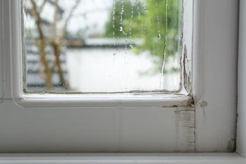 Rain Mold Window