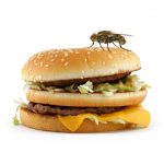 5 Steps to Keeping the Bugs Off Your Burger
