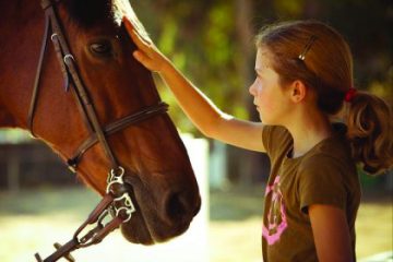 horse-riding-camps