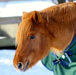 Thirteen-year-old “Butter.” 