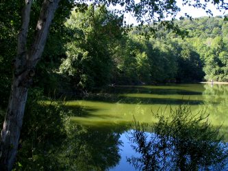 MAhwah scarlet_oak_pond