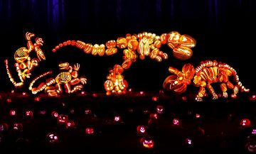 A Multi Pumpkin display.