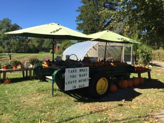 farm stand