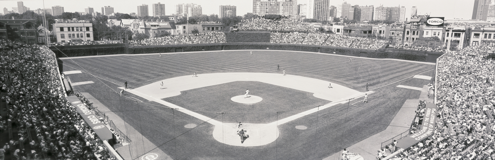 Cubs Baseball