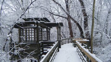 Snowy days can be the most beautiful.