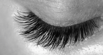 eyelashes