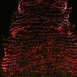 Westfield’s Annual Tree Lighting