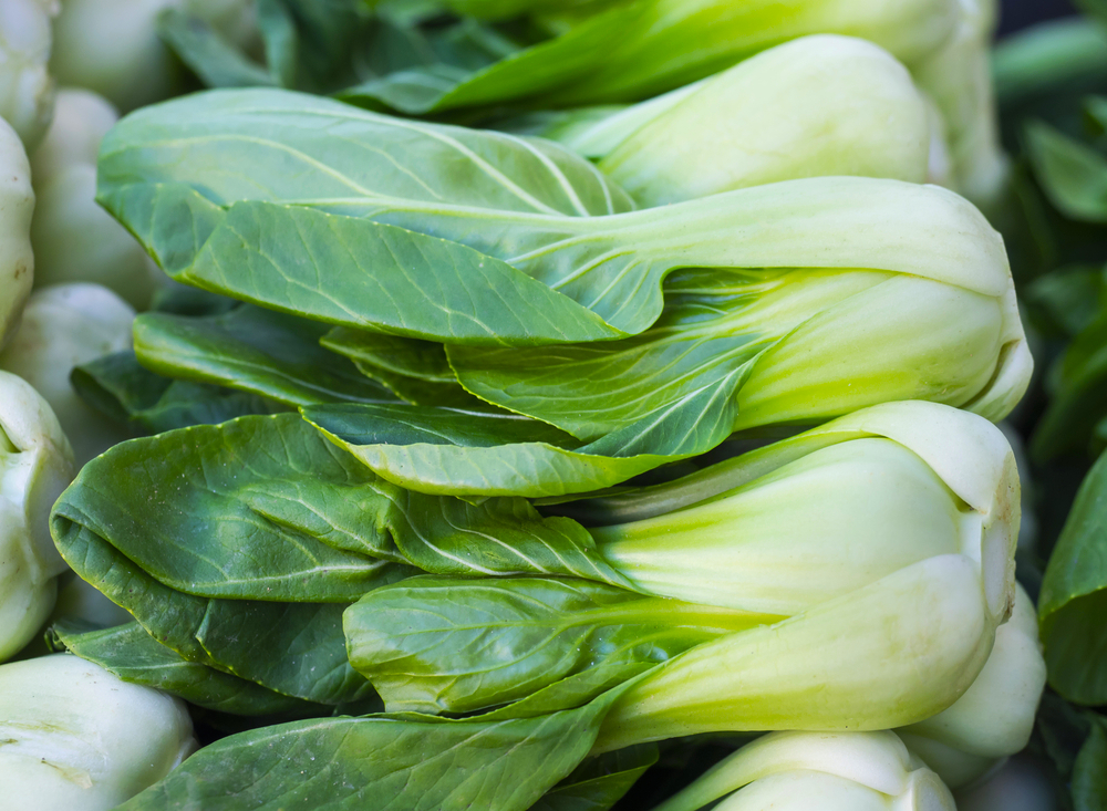 bok choy