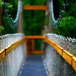 Cleveland’s Canopy Walk