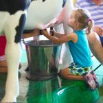 Old-Fashioned County Fair