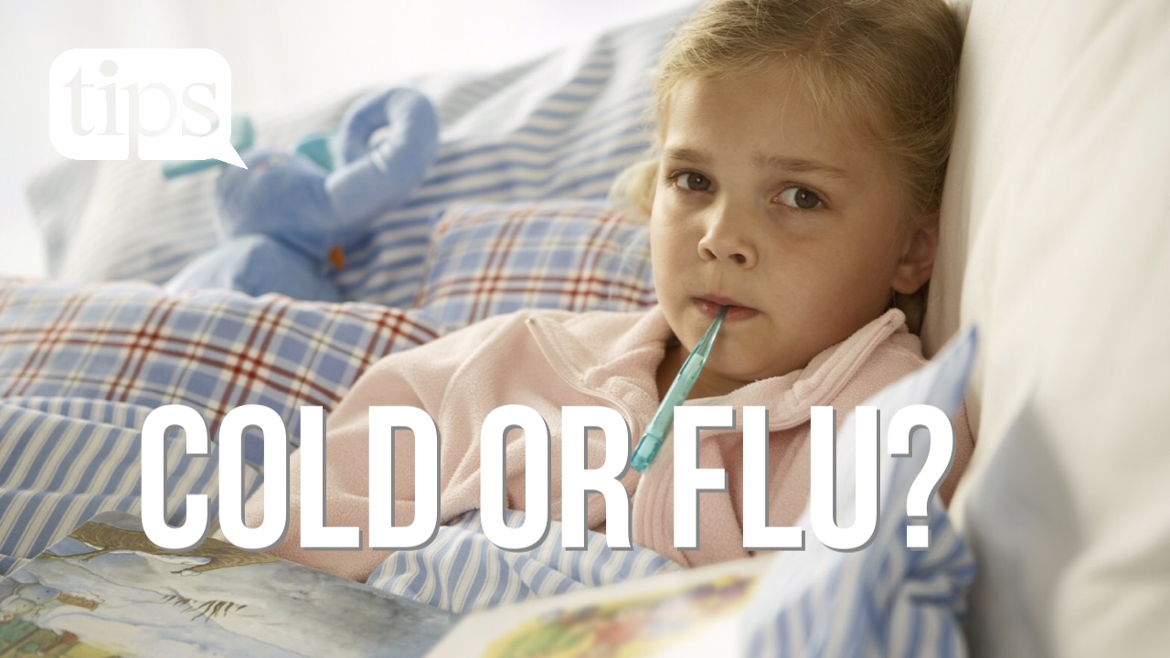 Everything You Need to Know About the Flu Tips From Town
