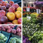 Where to Shop for Local Produce in Summit!