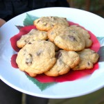 Chewy Chocolate Chip Cookies