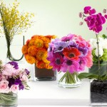 Flower Arrangements: No generic rose or daisy bouquets here.