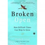 Broken Open: How Difficult Times Can Help Us to Grow