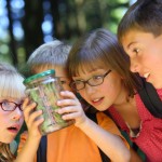 Summer Day Camps for Kids