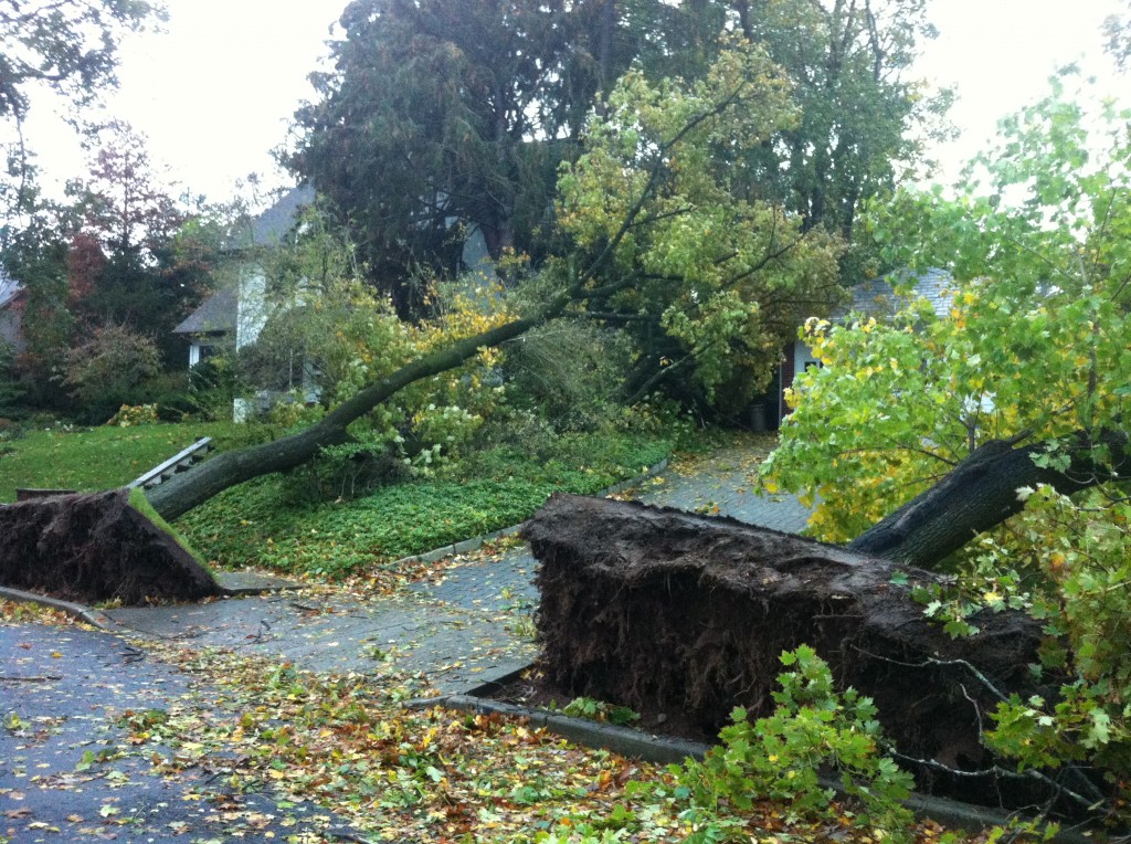 Hurricane Sandy Destruction 11