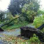 Hurricane Sandy Destruction 11