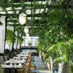 Rooftop Brunch and Lunch Spots in NYC