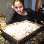 Nana’s Famous Crumb Cake…