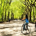 Central Park Day Trip Deal