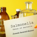 salmonella