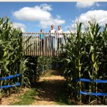 Local Corn Mazes