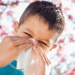 spring allergies