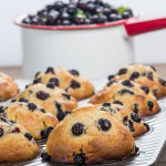 The Best Blueberry Muffins