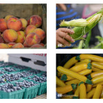 Thursdays at Madison Farmer’s Market