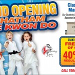Tae Kwan Do now in Chatham Township