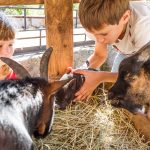 Annual Fair brings a Little bit of Country to Summit