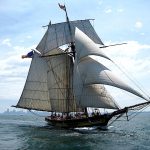 Climb Aboard a Tall Ship