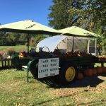 Have you seen Marietta’s favorite farm stand?