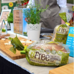 Gluten Free Expo